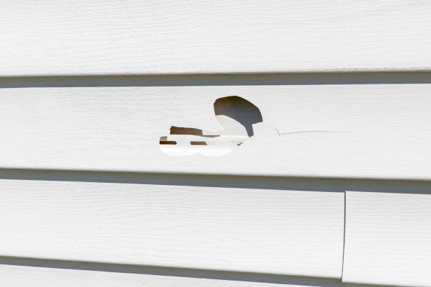 Reliable Village Of Waukesha, WI Junk Removal Solutions